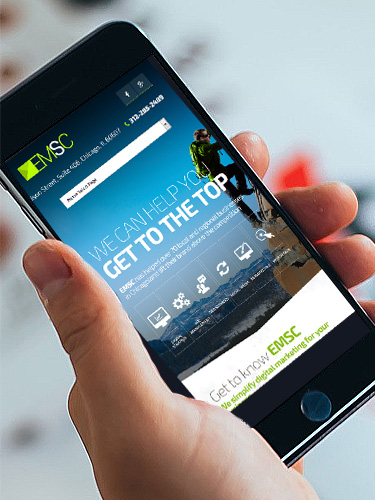 EM Search Consulting 2015