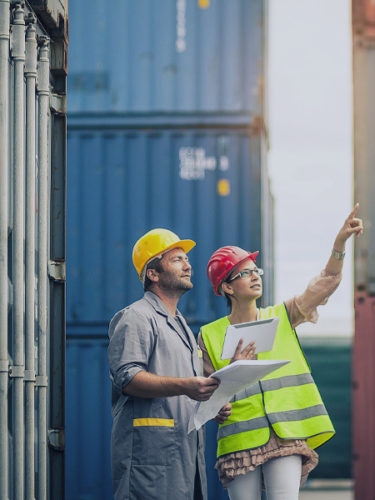 Integrated Logistics Services