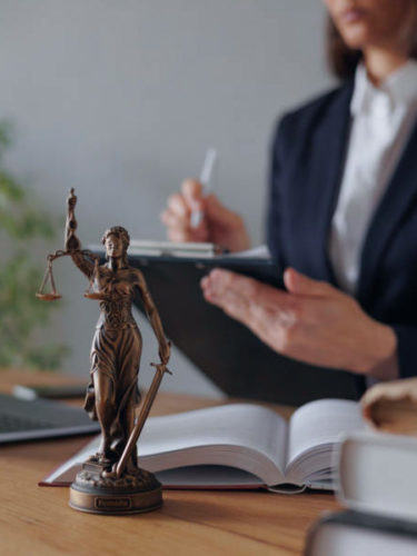 Palmeiro Law Group